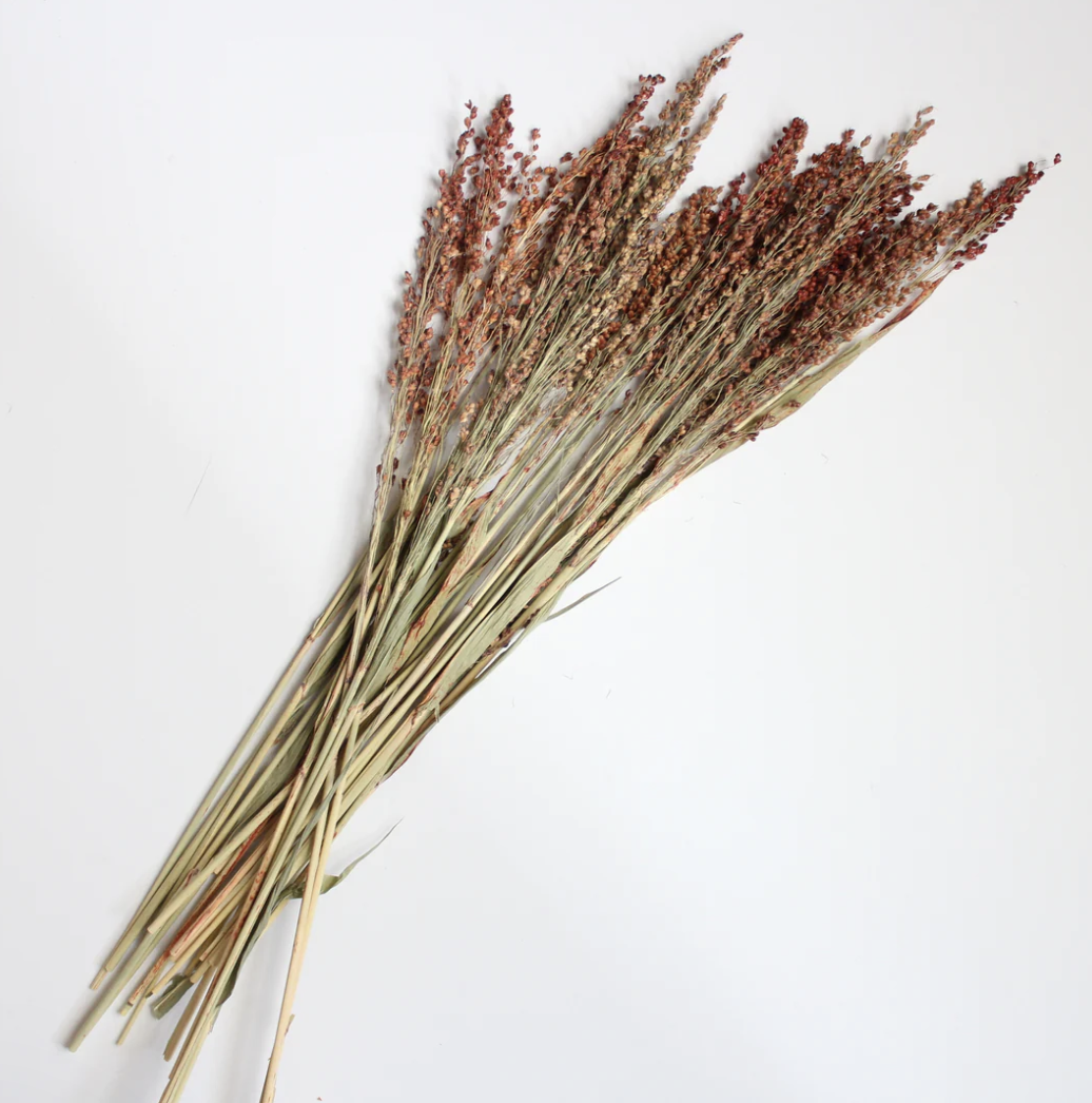 ذرة المكانس