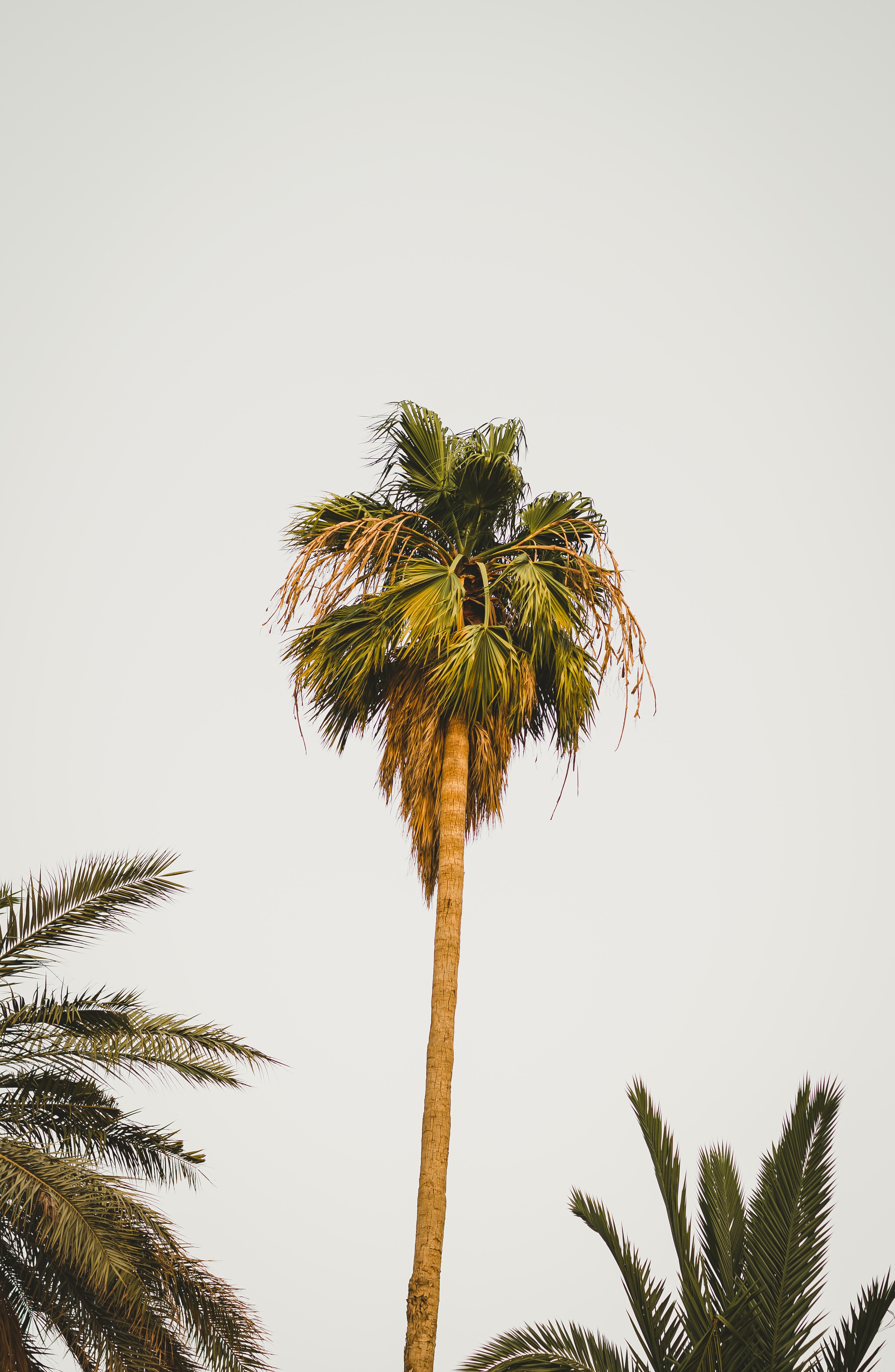 شهر مايـــو