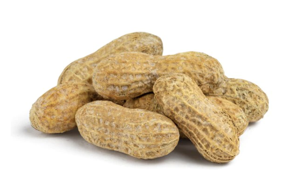 الفول السوداني